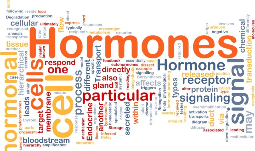 Wat zijn HORMONEN- DISBALANS hormonen- Wat te doen?